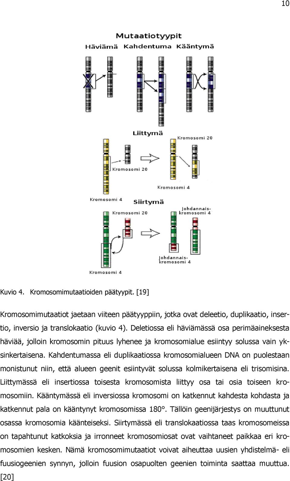Kahdentumassa eli duplikaatiossa kromosomialueen DNA on puolestaan monistunut niin, että alueen geenit esiintyvät solussa kolmikertaisena eli trisomisina.