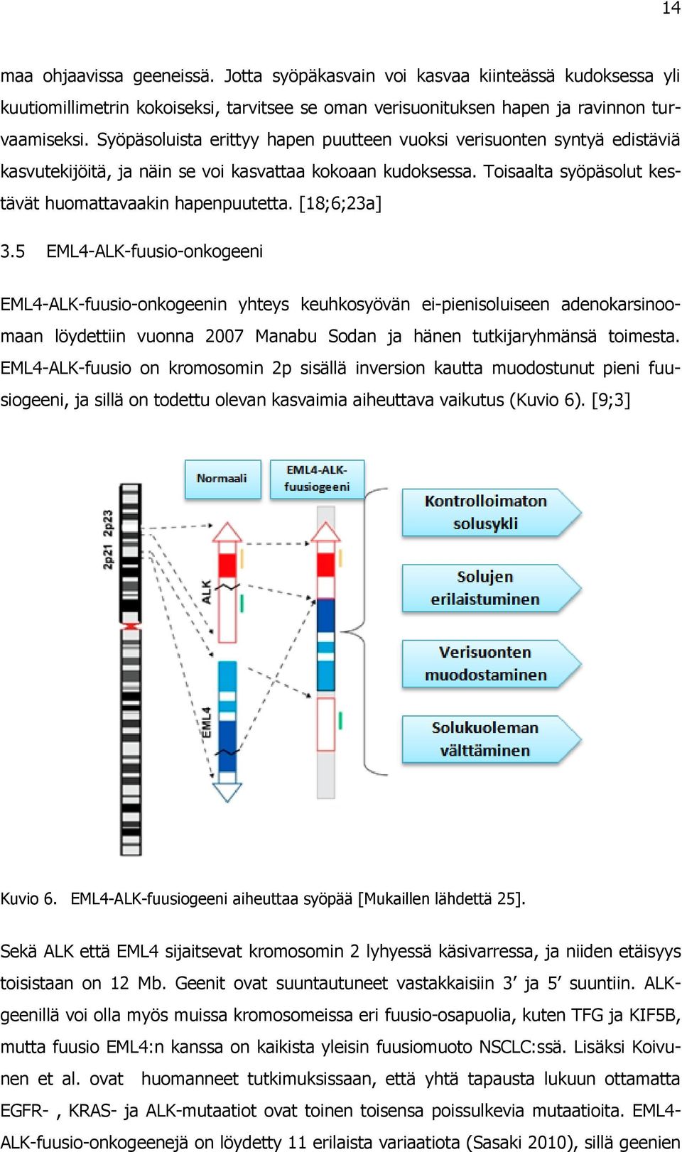 [18;6;23a] 3.5 EML4-ALK-fuusio-onkogeeni EML4-ALK-fuusio-onkogeenin yhteys keuhkosyövän ei-pienisoluiseen adenokarsinoomaan löydettiin vuonna 2007 Manabu Sodan ja hänen tutkijaryhmänsä toimesta.