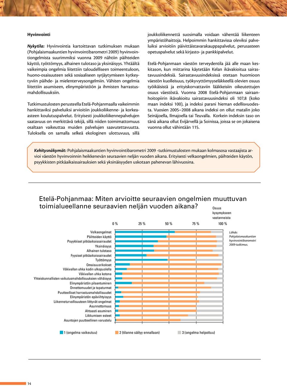 Yhtäältä vaikeimpia ongelmia liitettiin taloudelliseen toimeentuloon, huono-osaisuuteen sekä sosiaaliseen syrjäytymiseen kytkeytyviin päihde- ja mielenterveysongelmiin.