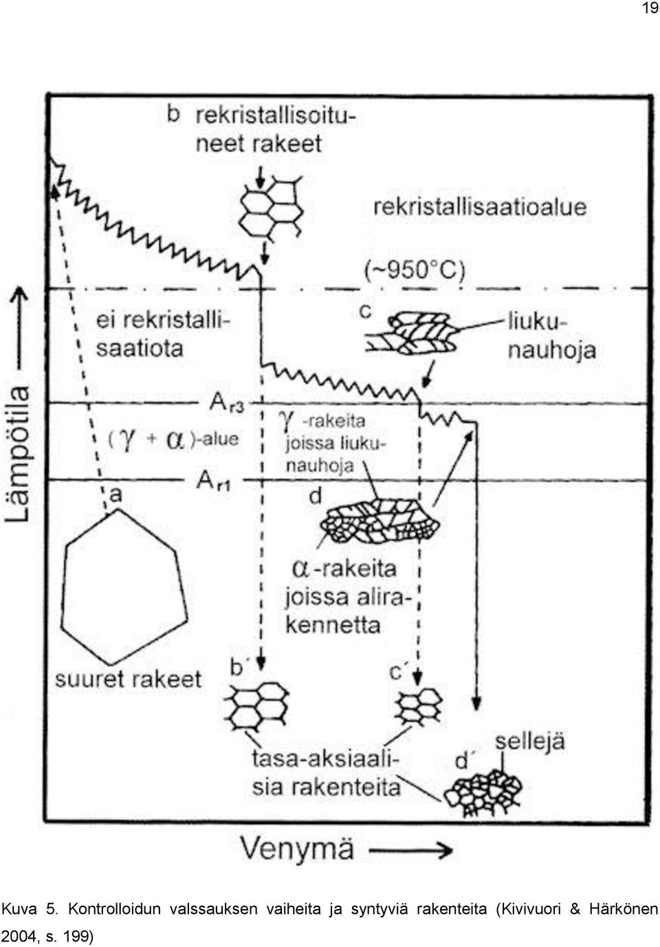 vaiheita ja syntyviä