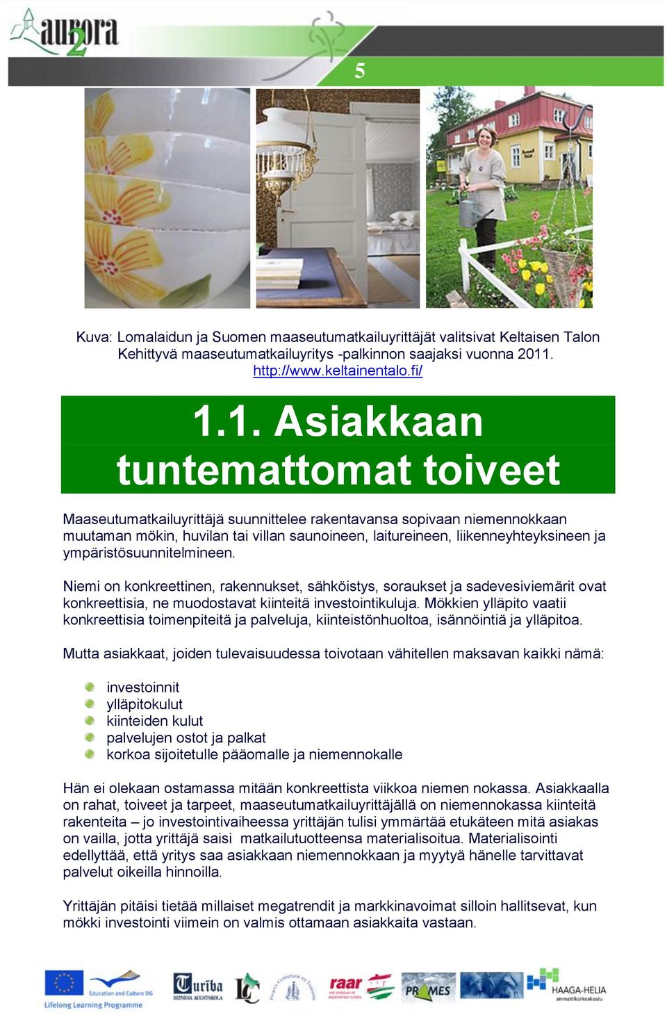 1. Asiakkaan tuntemattomat toiveet Maaseutumatkailuyrittäjä suunnittelee rakentavansa sopivaan niemennokkaan muutaman mökin, huvilan tai villan saunoineen, laitureineen, liikenneyhteyksineen ja