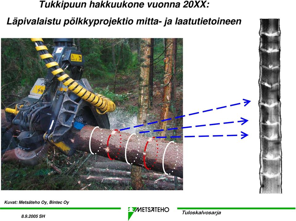 pölkkyprojektio mitta- ja