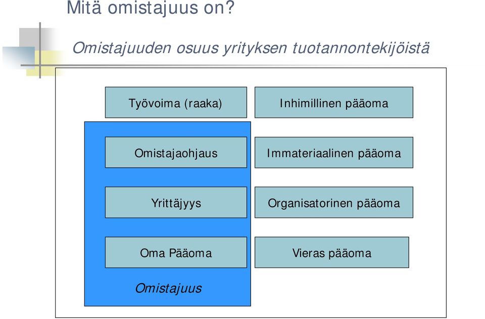 Työvoima (raaka) Inhimillinen pääoma Omistajaohjaus