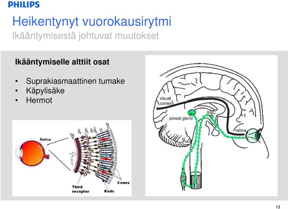 Ikääntymiselle alttiit osat