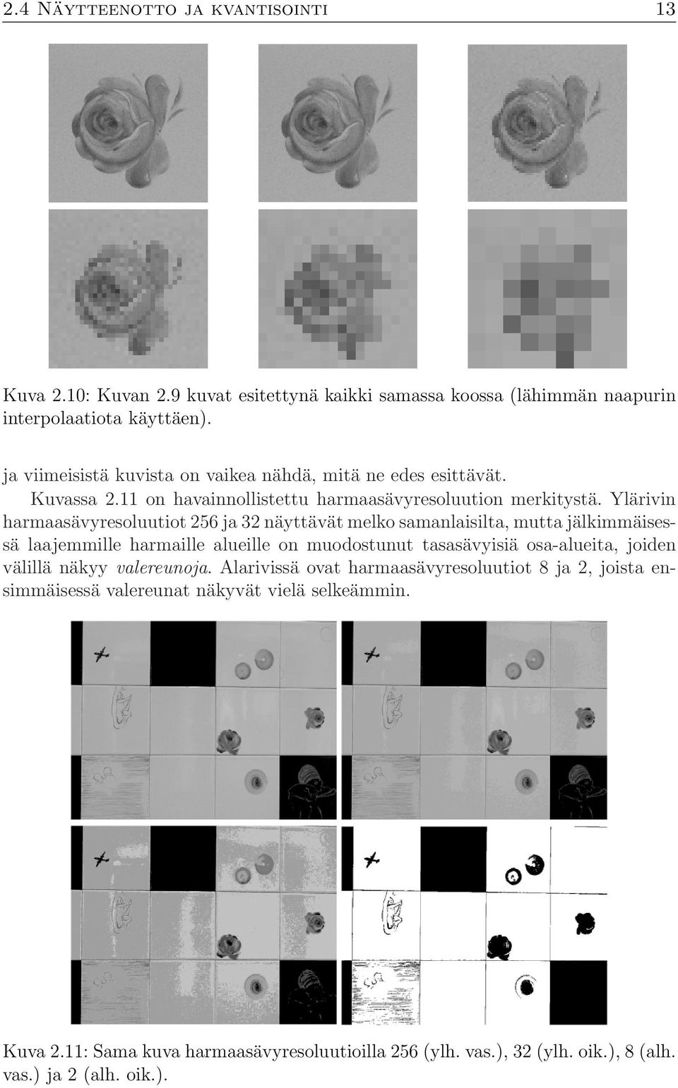 Ylärivin harmaasävyresoluutiot 256 ja 32 näyttävät melko samanlaisilta, mutta jälkimmäisessä laajemmille harmaille alueille on muodostunut tasasävyisiä osa-alueita,joiden