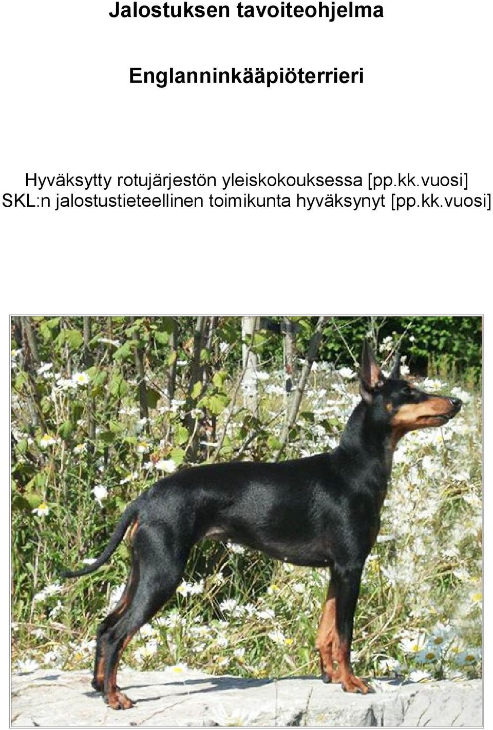 rotujärjestön yleiskokouksessa [pp.kk.