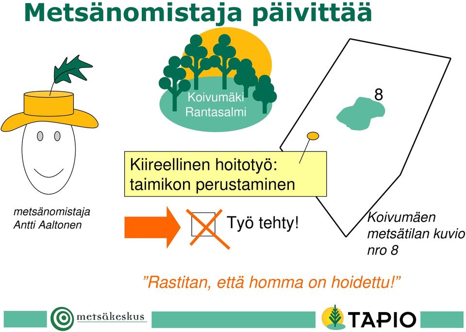 hoitotyö: taimikon perustaminen Työ tehty!