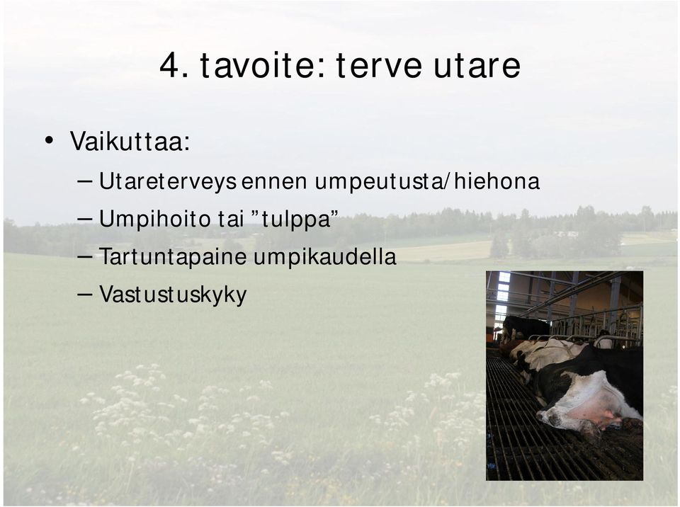 umpeutusta/hiehona Umpihoito tai