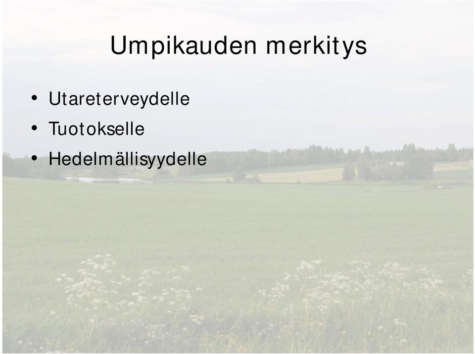 Utareterveydelle