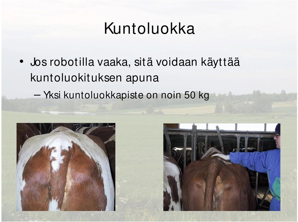 kuntoluokituksen apuna Yksi