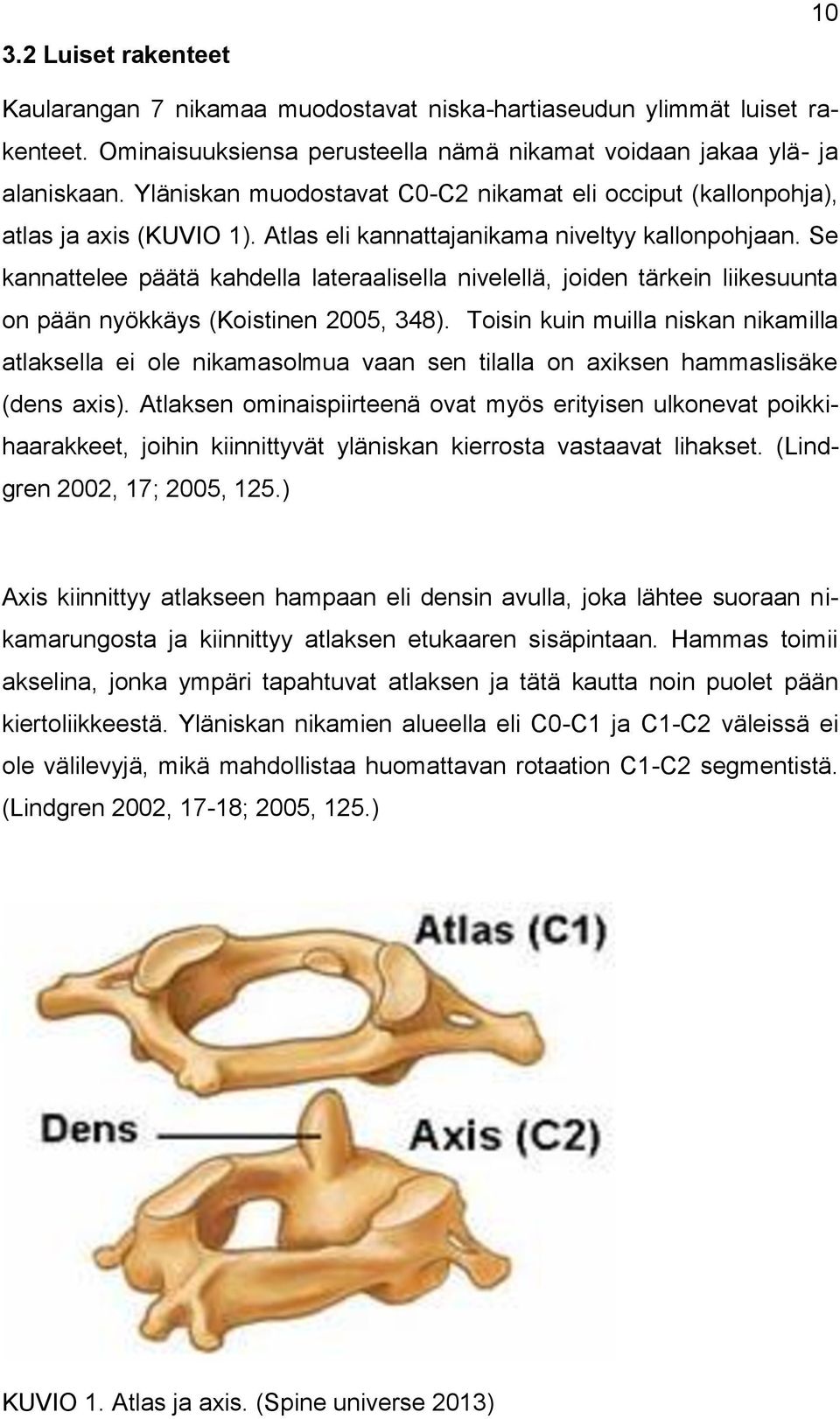 Se kannattelee päätä kahdella lateraalisella nivelellä, joiden tärkein liikesuunta on pään nyökkäys (Koistinen 2005, 348).