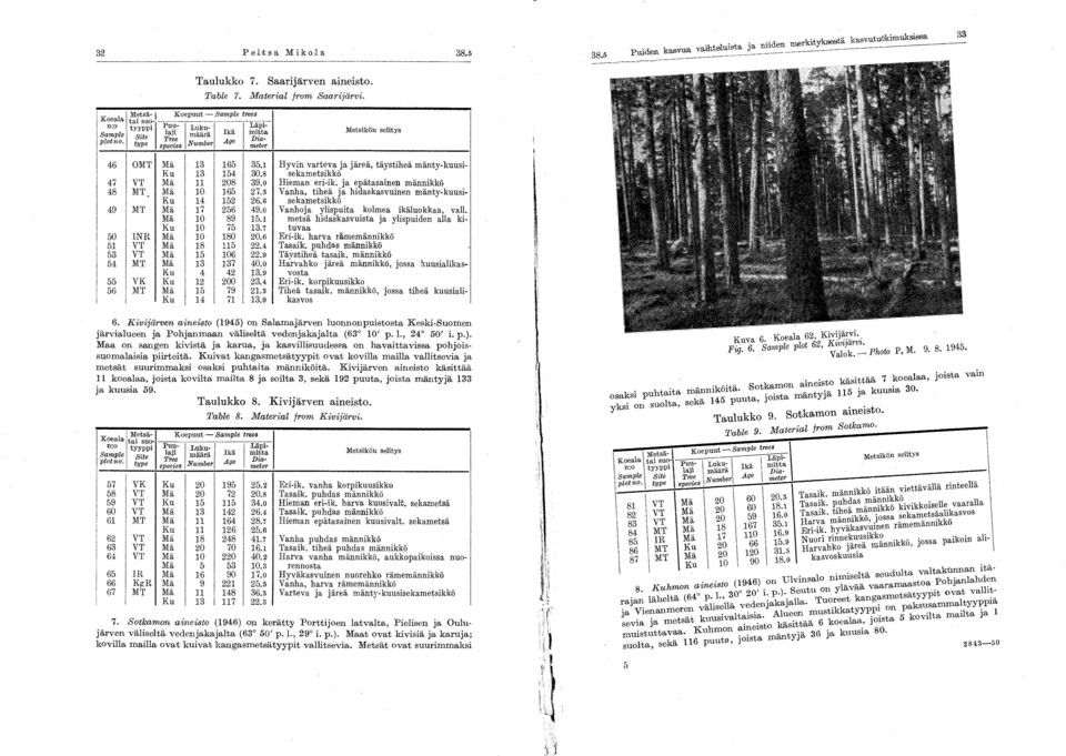 tyyppi Pu- LUkU- Lapi- Metsikiin selitys 46 OMT Mii 3 65 35. Hyvin varteva ja jiireii, tiiystihea manty-lmusi- Ku 3 54 30.8 sekametsikko 47 VT Ma 208 39.0 Hieman eri-ik.