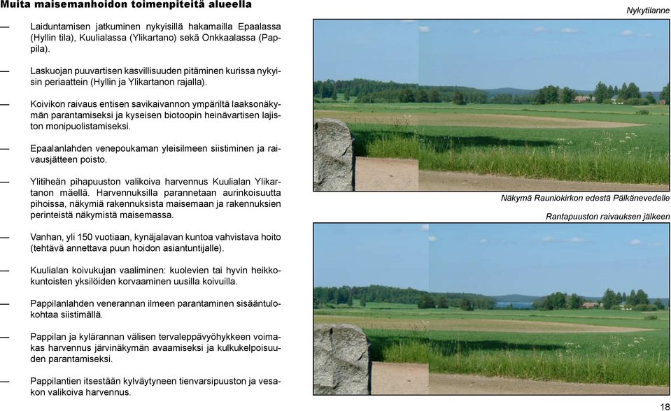 Koivikon raivaus entisen savikaivannon ympäriltä laaksonäkymän parantamiseksi ja kyseisen biotoopin heinävartisen lajiston monipuolistamiseksi.