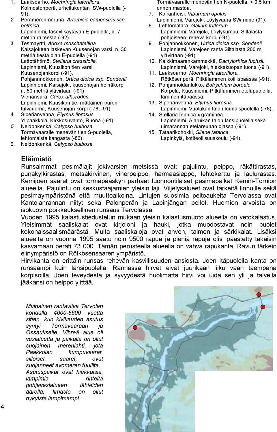 Lapinniemi, Kuusikon tien varsi, Kuusenojankorpi (-91). Pohjannnokkonen, Urtica dioica ssp. Sondenii. Lapinniemi, Kaisajoki, kuusenojan heinäkorpi n.