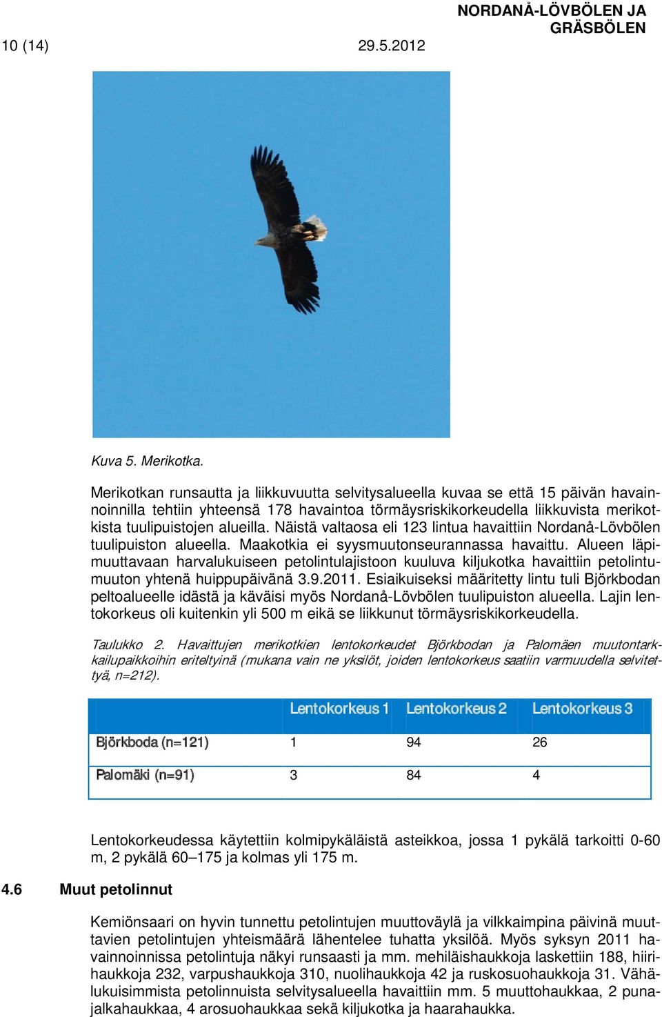 Näistä valtaosa eli 123 lintua havaittiin Nordanå-Lövbölen tuulipuiston alueella. Maakotkia ei syysmuutonseurannassa havaittu.