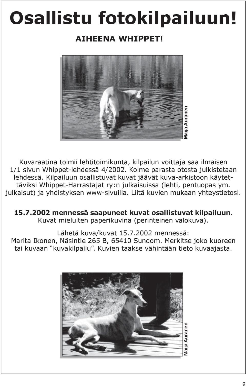 julkaisut) ja yhdistyksen www-sivuilla. Liitä kuvien mukaan yhteystietosi. 15.7.2002 mennessä saapuneet kuvat osallistuvat kilpailuun.