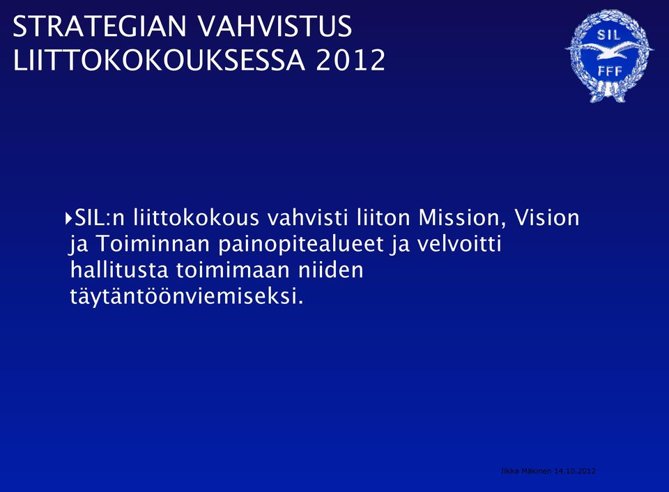 Vision ja Toiminnan painopitealueet ja