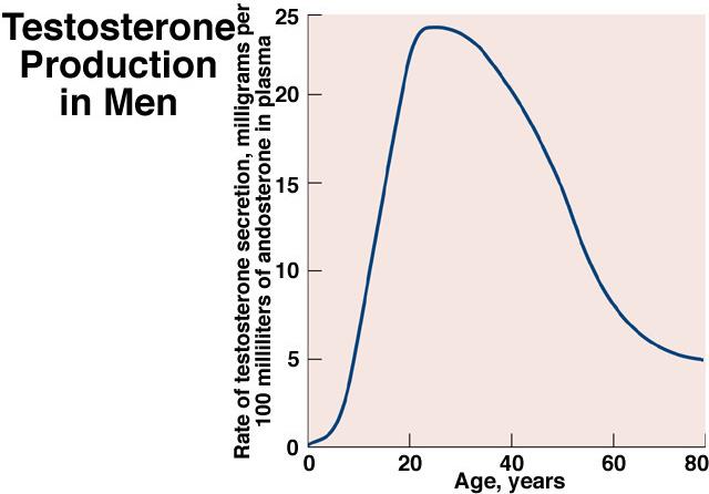 Kasvu ja testosteronitaso +800 %