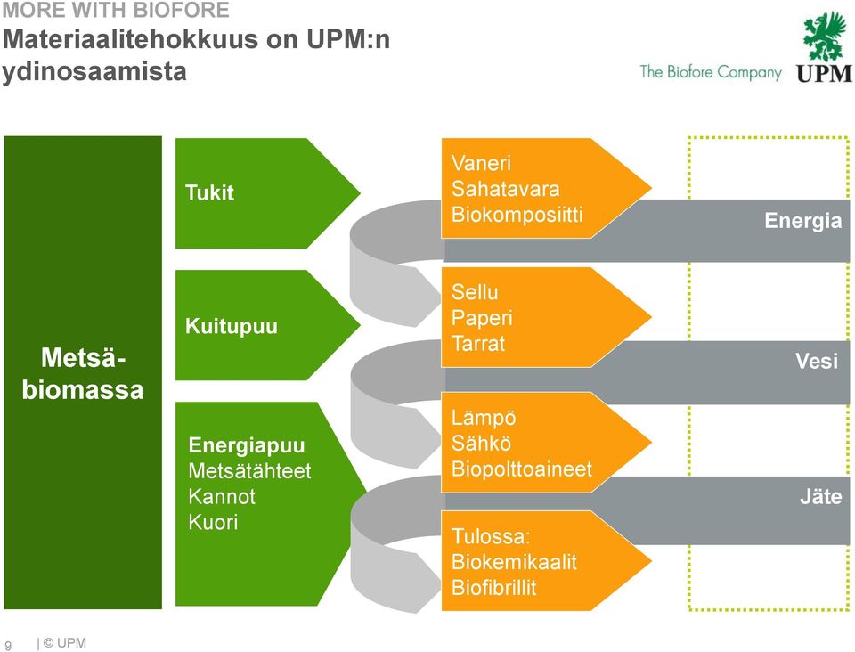 Energiapuu Metsätähteet Kannot Kuori Sellu Paperi Tarrat Lämpö