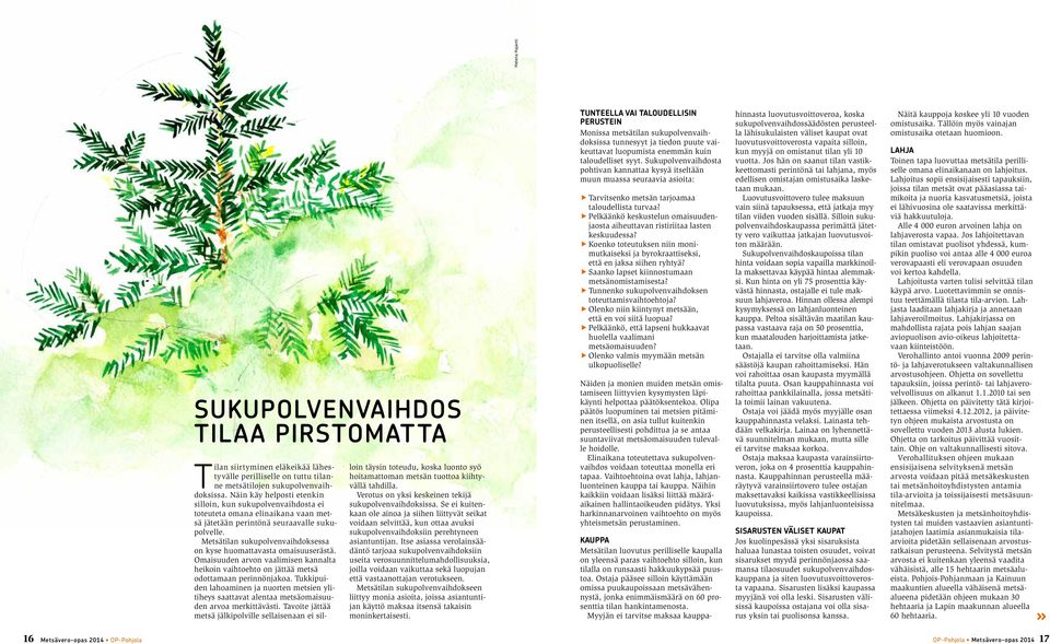 Metsätilan sukupolvenvaihdoksessa on kyse huomattavasta omaisuuserästä. Omaisuuden arvon vaalimisen kannalta heikoin vaihtoehto on jättää metsä odottamaan perinnönjakoa.