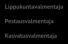 Lippukuntia tuetaan tärkeimmissä toiminnoissa Lippukunnassa Alueella aluetiimi Lippukunnanjohtaja Pestijohtaja Ohjelmajohtaja Lippukuntavalmentaja Pestausvalmentaja Kasvatusvalmentaja