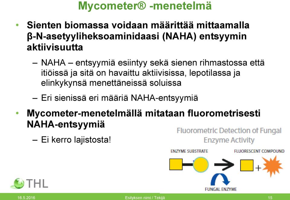 aktiivisissa, lepotilassa ja elinkykynsä menettäneissä soluissa Eri sienissä eri määriä NAHA-entsyymiä