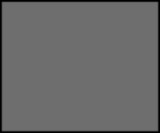FIM Analyysi