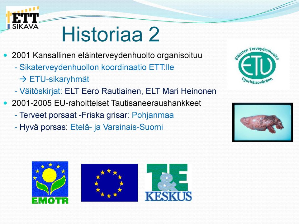 Eero Rautiainen, ELT Mari Heinonen 2001-2005 EU-rahoitteiset
