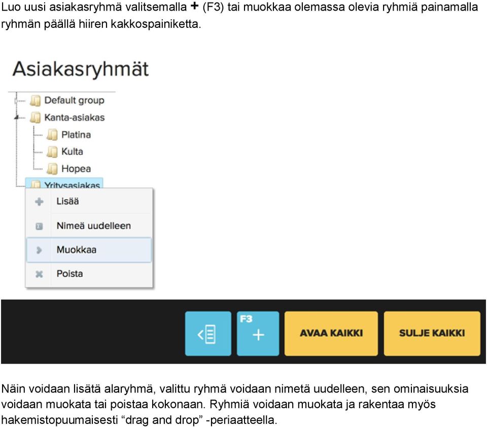 Näin voidaan lisätä alaryhmä, valittu ryhmä voidaan nimetä uudelleen, sen