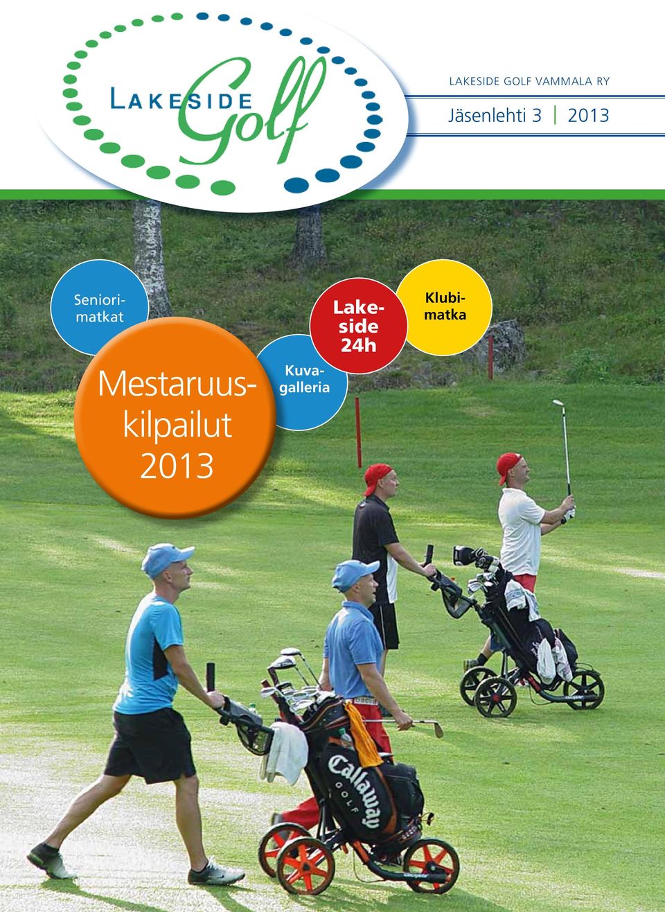 Mestaruuskilpailut 2013