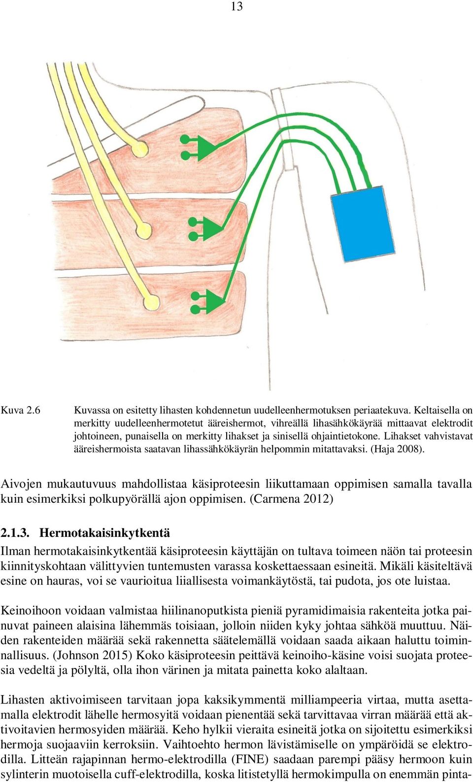 Lihakset vahvistavat ääreishermoista saatavan lihassähkökäyrän helpommin mitattavaksi. (Haja 2008).