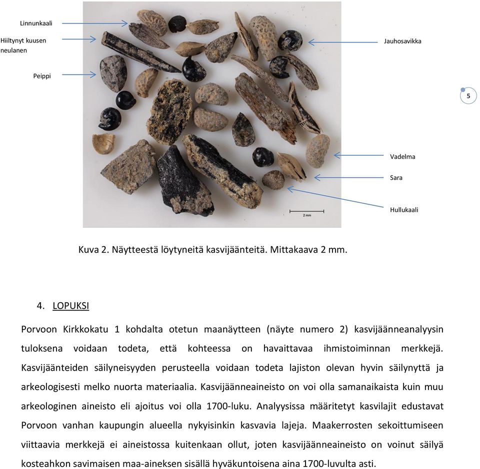 Kasvijäänteiden säilyneisyyden perusteella voidaan todeta lajiston olevan hyvin säilynyttä ja arkeologisesti melko nuorta materiaalia.