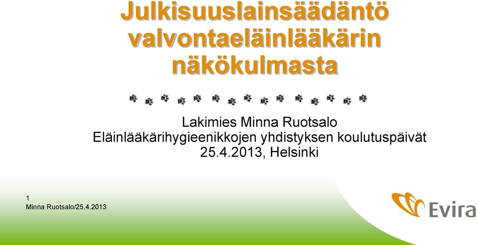 Lakimies Minna Ruotsalo