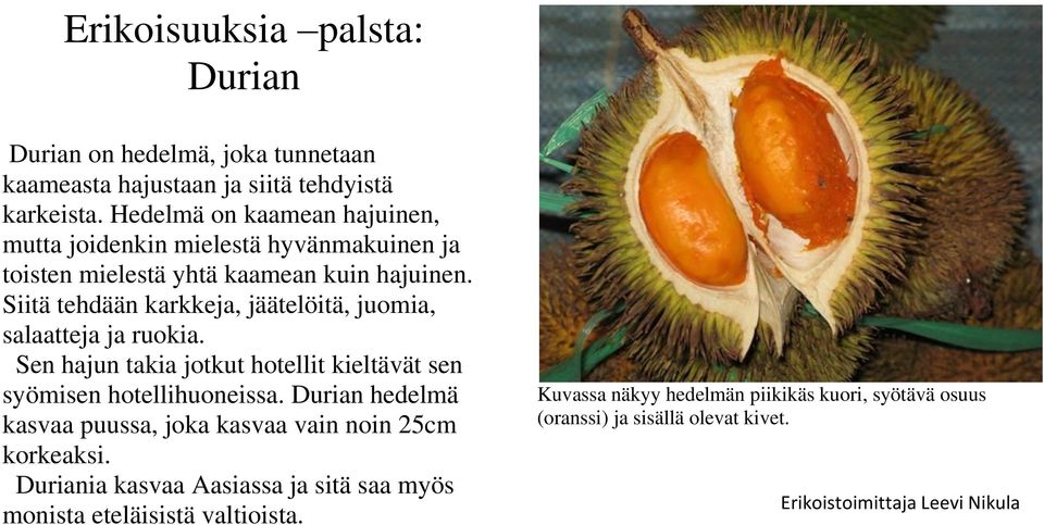 Siitä tehdään karkkeja, jäätelöitä, juomia, salaatteja ja ruokia. Sen hajun takia jotkut hotellit kieltävät sen syömisen hotellihuoneissa.