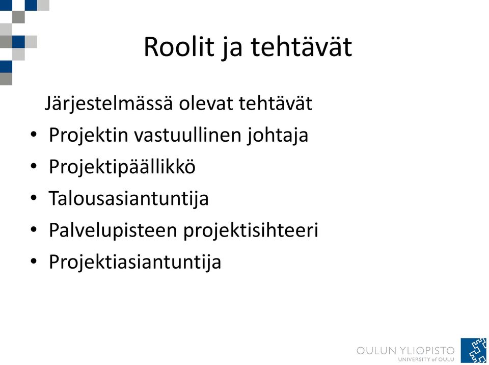 Projektipäällikkö Talousasiantuntija