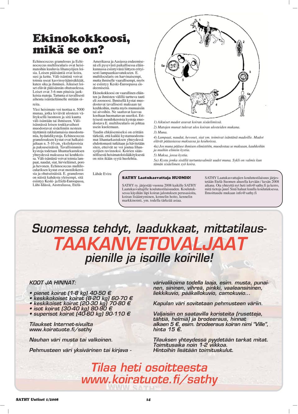 Tartunta ei tavallisesti aiheuta isäntäeläimelle mitään oireita. Yksi heisimato voi tuottaa n. 5000 munaa, jotka leviävät ulosteen välityksellä luontoon ja sitä kautta väli-isäntään tai ihmiseen.