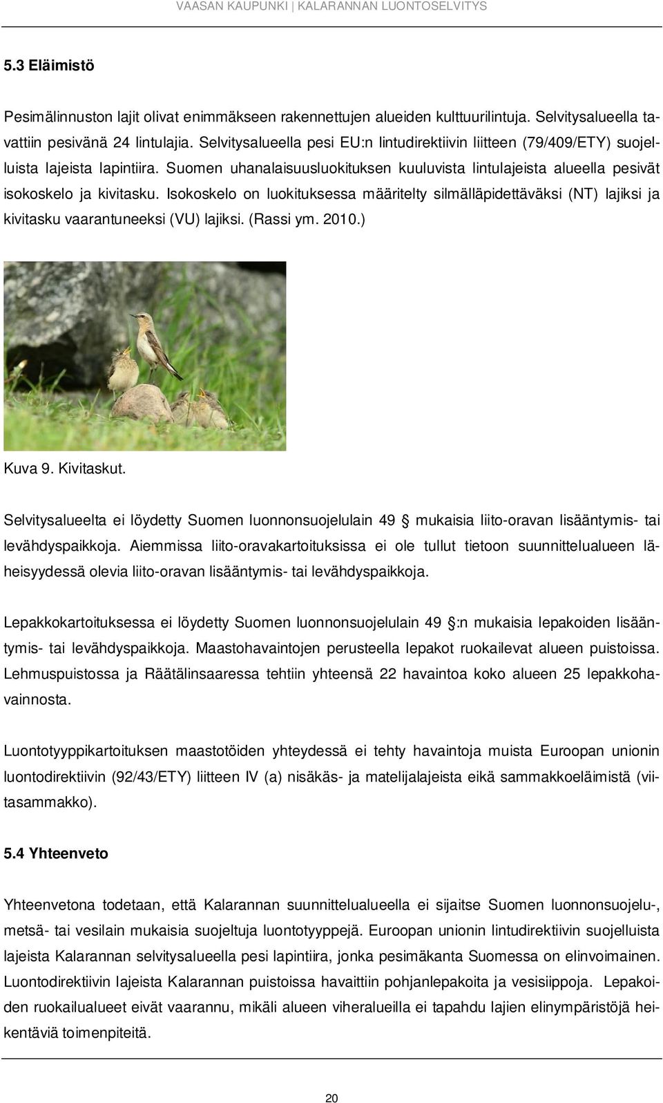 Isokoskelo on luokituksessa määritelty silmälläpidettäväksi (NT) lajiksi ja kivitasku vaarantuneeksi (VU) lajiksi. (Rassi ym. 2010.) Kuva 9. Kivitaskut.