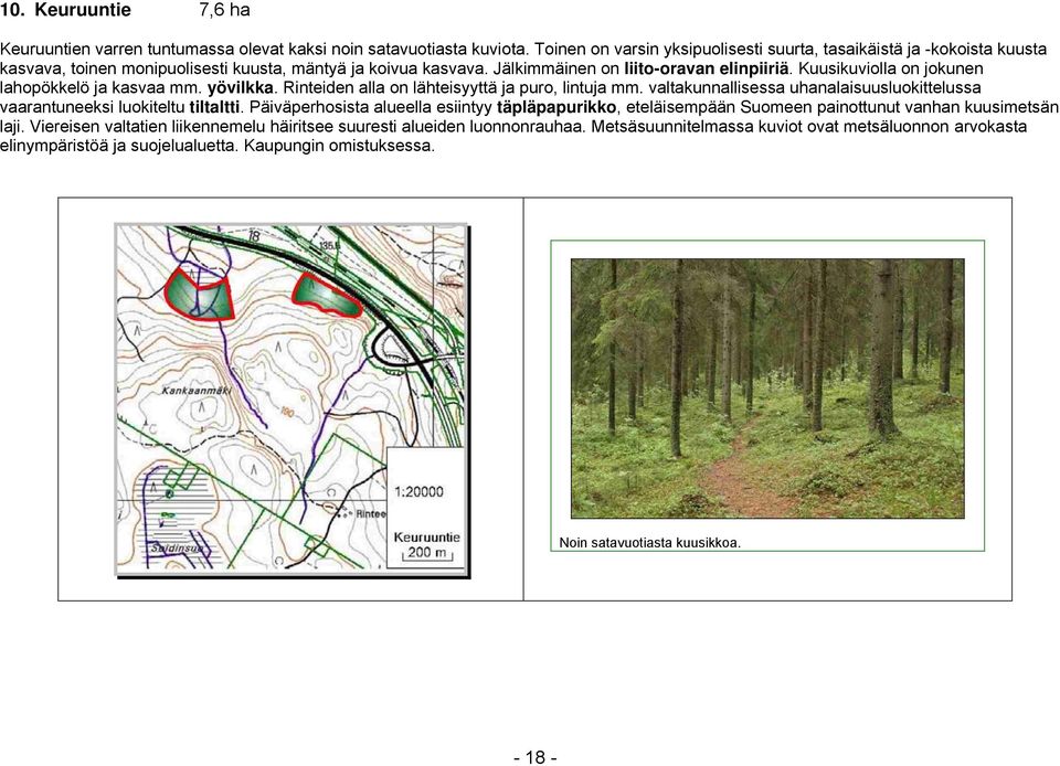 Kuusikuviolla on jokunen lahopökkelö ja kasvaa mm. yövilkka. Rinteiden alla on lähteisyyttä ja puro, lintuja mm. valtakunnallisessa uhanalaisuusluokittelussa vaarantuneeksi luokiteltu tiltaltti.