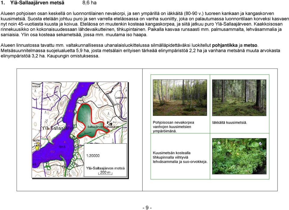 Eteläosa on muutenkin kosteaa kangaskorpea, ja siitä jatkuu puro Ylä-Sallaajärveen. Kaakkoisosan rinnekuusikko on kokonaisuudessaan lähdevaikutteinen, tihkupintainen. Paikalla kasvaa runsaasti mm.