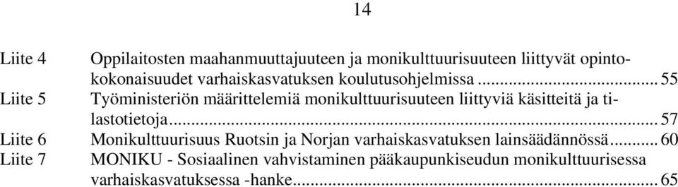 .. 55 Liite 5 Työministeriön määrittelemiä monikulttuurisuuteen liittyviä käsitteitä ja tilastotietoja.