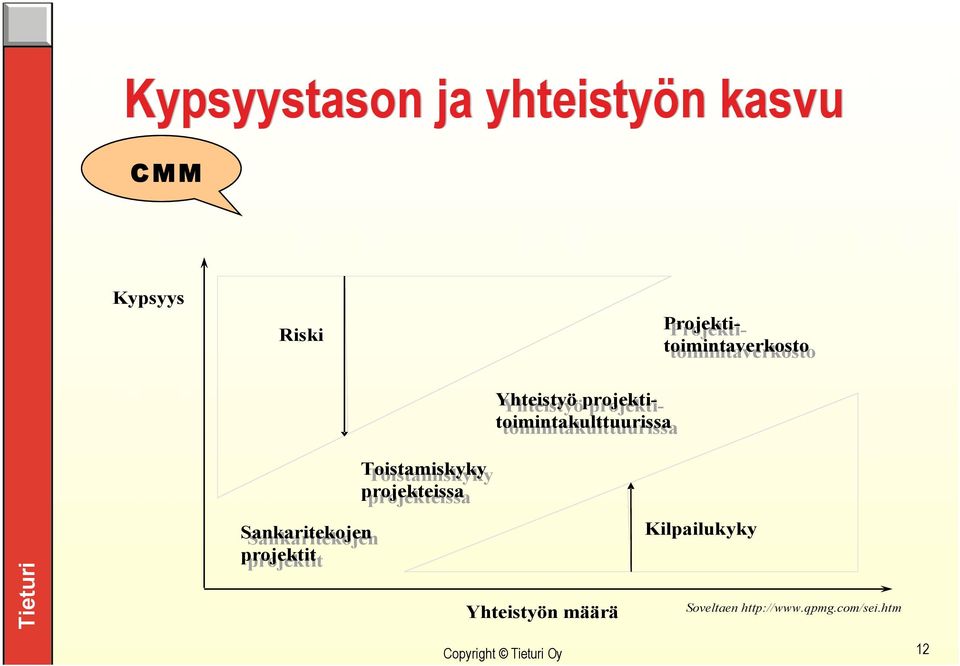 projektitoimintakulttuurissa Toistamiskyky projekteissa