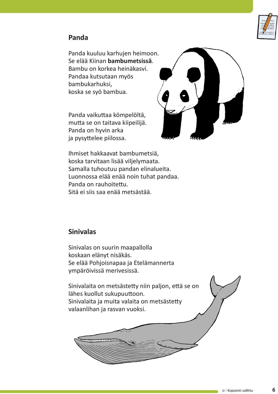 Samalla tuhoutuu pandan elinalueita. Luonnossa elää enää noin tuhat pandaa. Panda on rauhoitettu. Sitä ei siis saa enää metsästää.