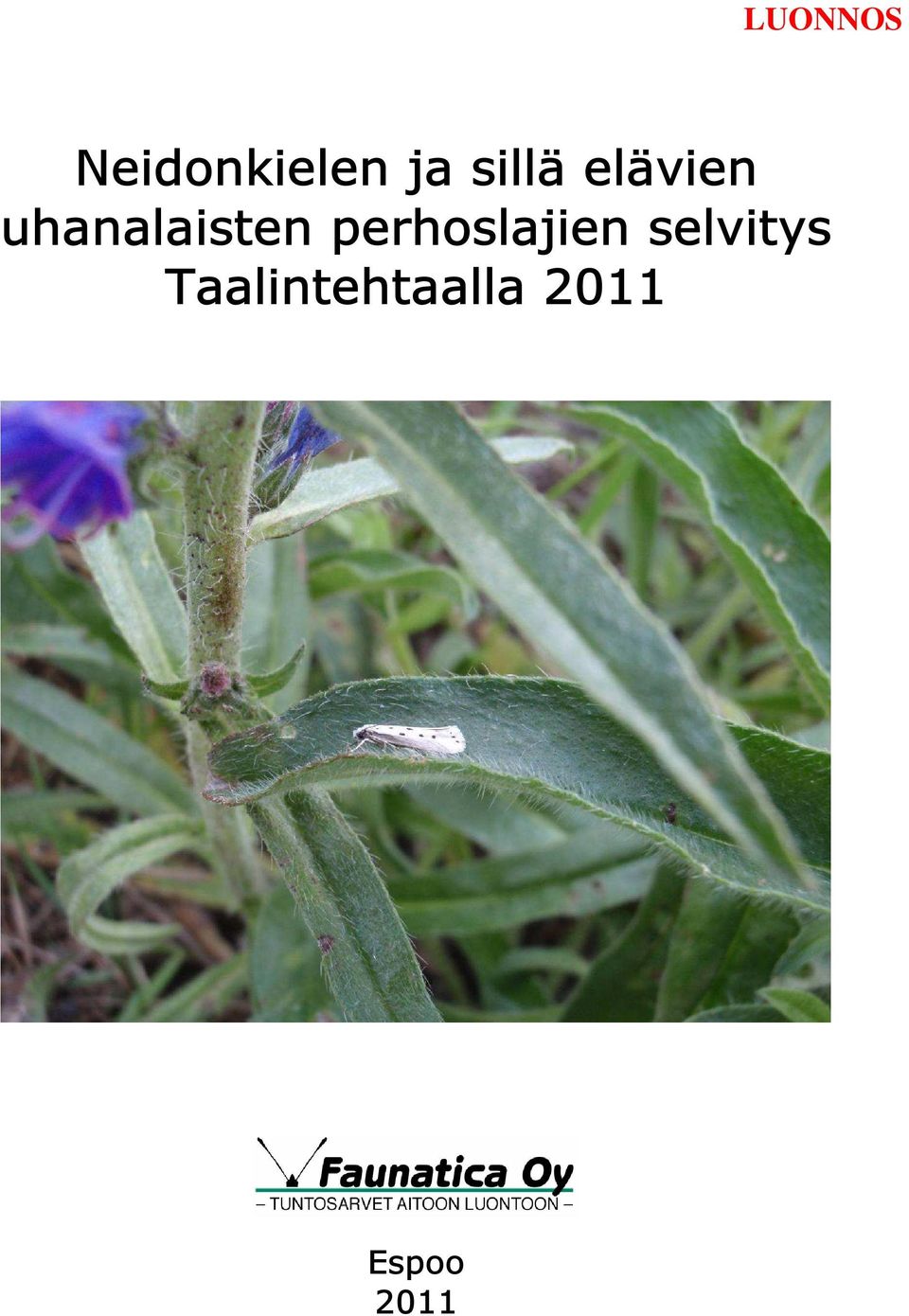 uhanalaisten perhoslajien