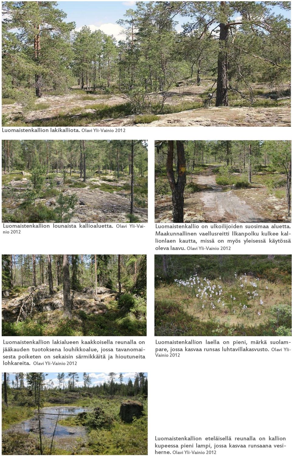 Olavi Yli-Vainio 2012 Luomaistenkallion lakialueen kaakkoisella reunalla on jääkauden tuotoksena louhikkoalue, jossa tavanomaisesta poiketen on sekaisin särmikkäitä ja hioutuneita