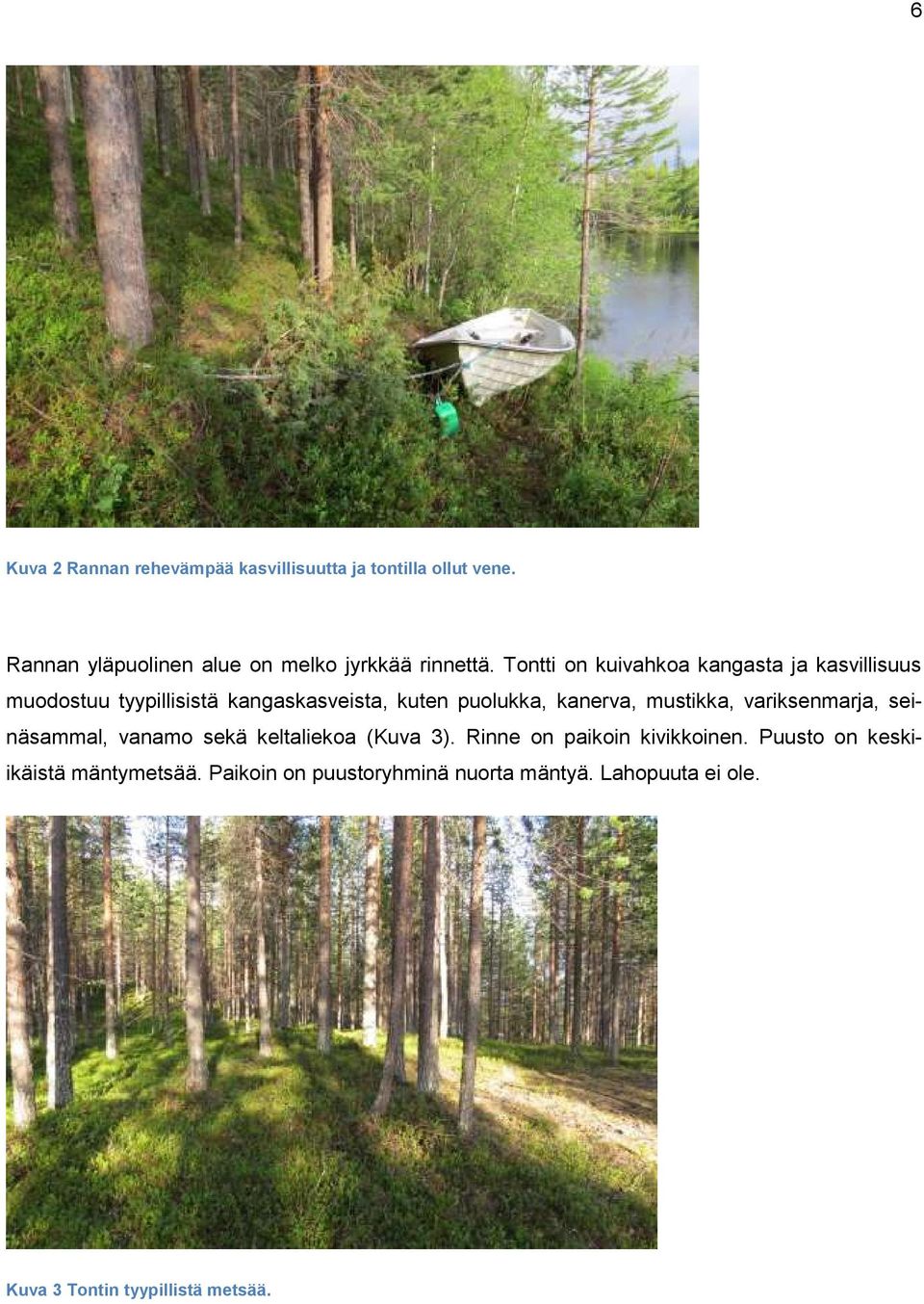 Tontti on kuivahkoa kangasta ja kasvillisuus muodostuu tyypillisistä kangaskasveista, kuten puolukka, kanerva,