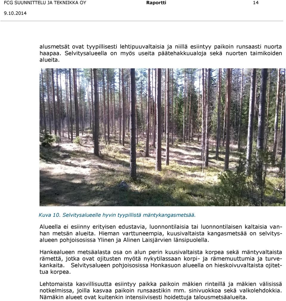 Alueella ei esiinny erityisen edustavia, luonnontilaisia tai luonnontilaisen kaltaisia vanhan metsän alueita.