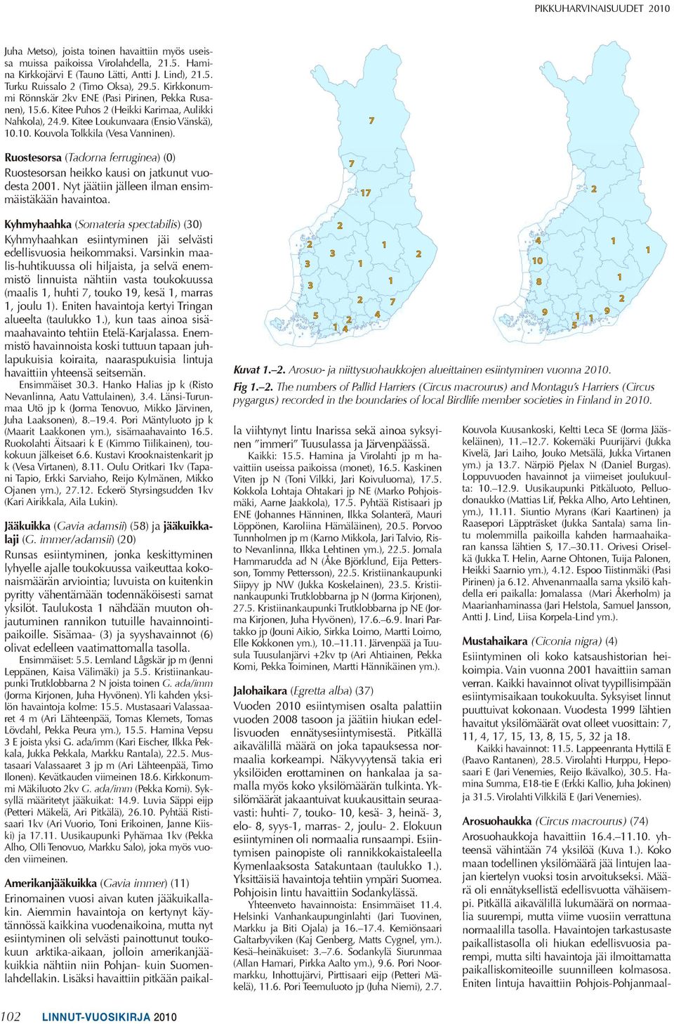 Ruostesorsa (Tadorna ferruginea) (0) Ruostesorsan heikko kausi on jatkunut vuodesta 00. Nyt jäätiin jälleen ilman ensimmäistäkään havaintoa.