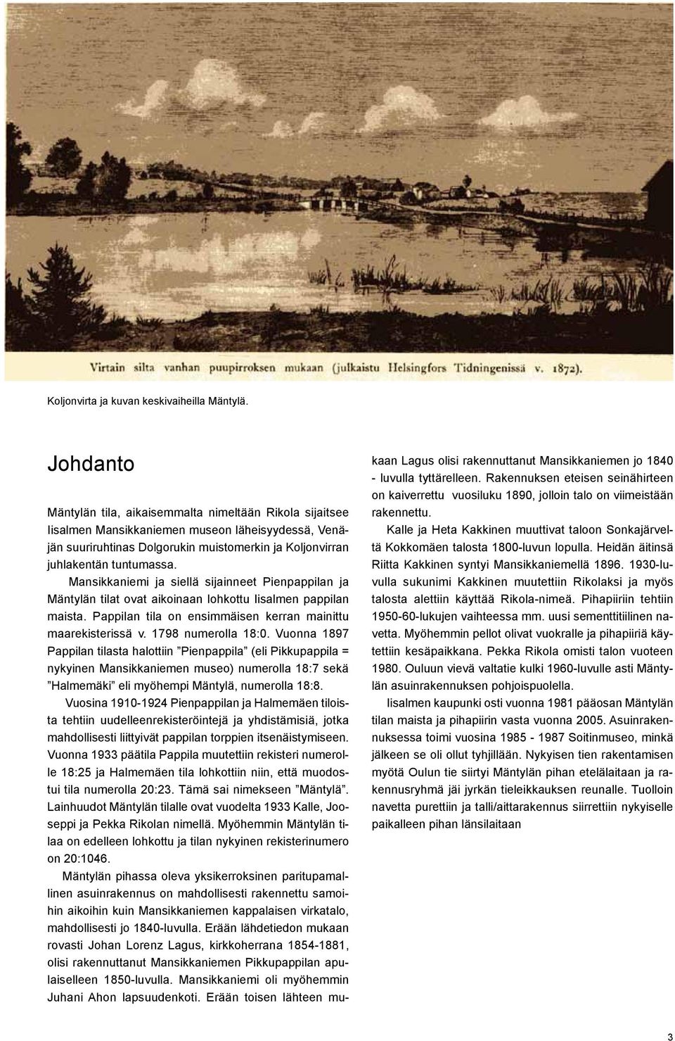 Mansikkaniemi ja siellä sijainneet Pienpappilan ja Mäntylän tilat ovat aikoinaan lohkottu Iisalmen pappilan maista. Pappilan tila on ensimmäisen kerran mainittu maarekisterissä v. 1798 numerolla 18:0.