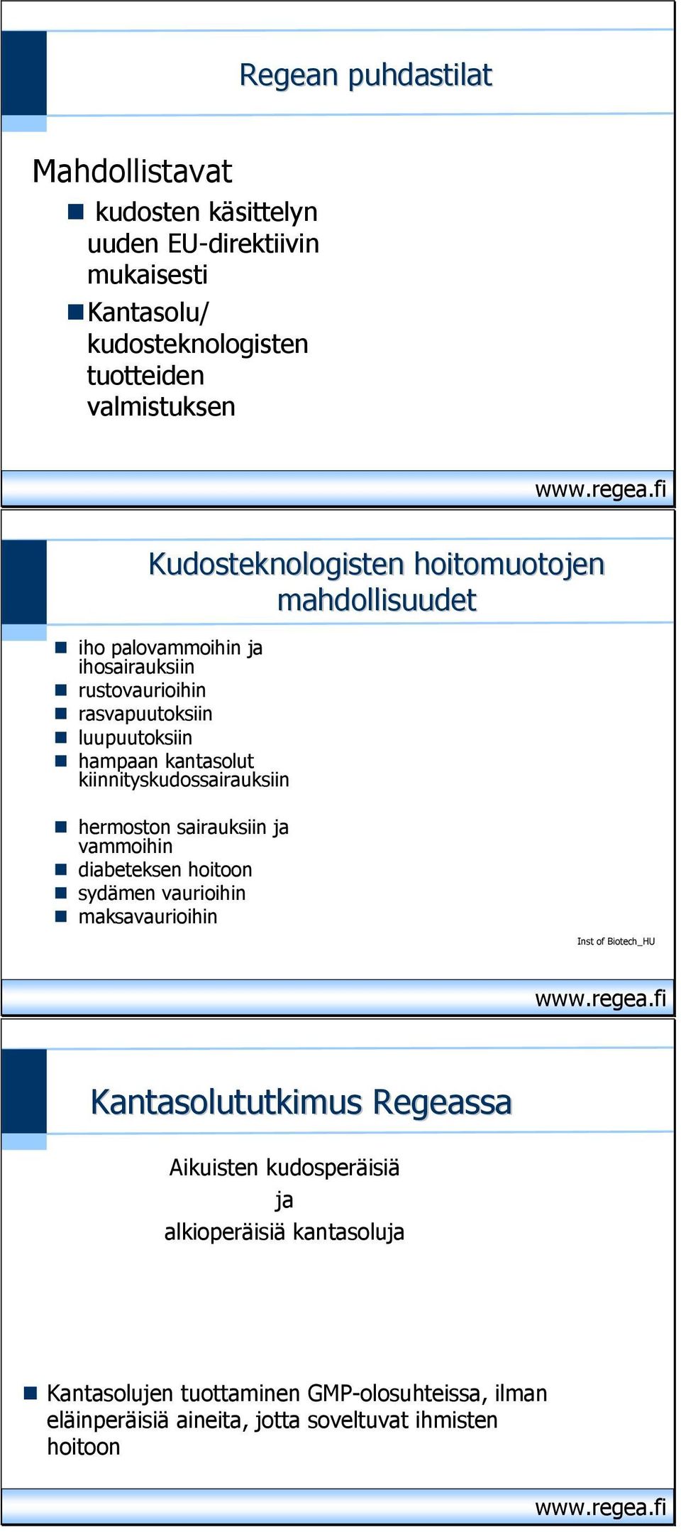 kiinnityskudossairauksiin hermoston sairauksiin ja vammoihin diabeteksen hoitoon sydämen vaurioihin maksavaurioihin Inst of Biotech_HU Kushner et al