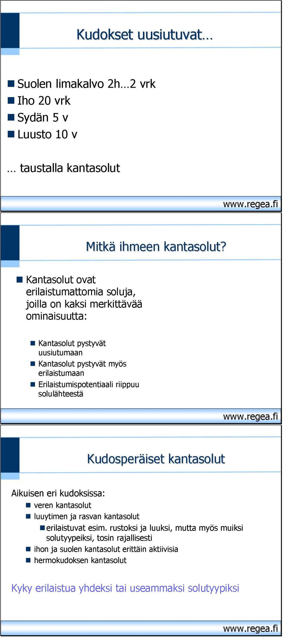 Erilaistumispotentiaali riippuu solulähteestä Kudosperäiset kantasolut Aikuisen eri kudoksissa: veren kantasolut luuytimen ja rasvan kantasolut erilaistuvat